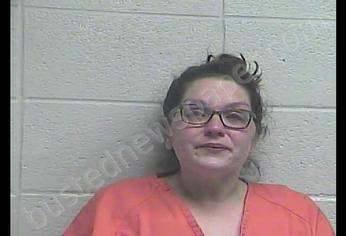 SHEENA J PUCKETT #, Jessamine County, Kentucky - 2019-04-10 01:07:00