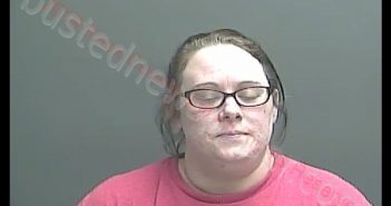 SAVANNA NICOLE GRIGGS | 2019-04-11 16:32:00 Knox County, Indiana Booking