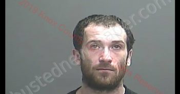 TYLER J RICHARDS | 2019-04-11 22:48:00 Knox County, Indiana Booking