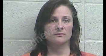 AMBER L SANFORD | 2019-04-11 05:45:00 Jessamine County, Kentucky Booking