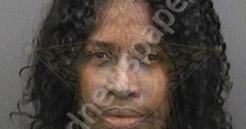 <B>THOMAS</B>, <B>PATRICIA</B> D #, Hillsborough County, Florida - 2019-04-11 11:15:00