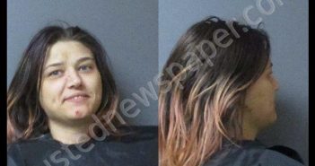 DAVIDSON, <B>MEGAN</B> NICHOLE #, Madison County, Indiana - 2019-04-11 00:42:00