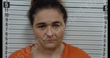 BRENDA GAIL LLOYD | 2019-04-11 15:58:00 Scott County, Missouri Booking