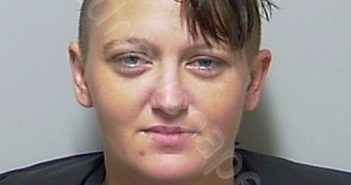 HATHCOCK, SAMANTHA LUJEAN | 2019-04-11 20:04:00 Putnam County, Florida Booking