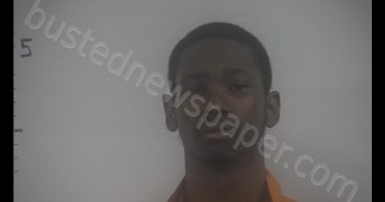 DOMINIQUE MAURICE ROBINSON | 2019-04-11 15:12:15 Western Tidewater, Virginia Booking