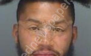 LEE PRUNES, DONNIS | 2019-04-12 02:06:16 Pinellas County, Florida Booking