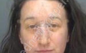 HINDS, ASHLEY MARIE | 2019-04-12 02:06:27 Pinellas County, Florida Booking