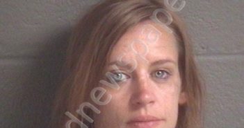 JONES, MEREDITH LEIGH | 2019-04-12 20:43:00 Buncombe County, North Carolina Booking