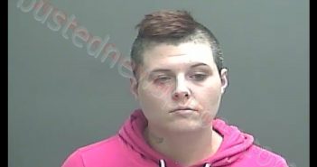 TARA LYNN CUMMINS | 2019-04-12 08:59:00 Knox County, Indiana Booking