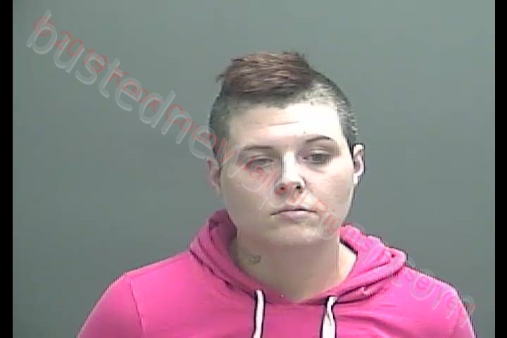 TARA LYNN CUMMINS #, Knox County, Indiana - 2019-04-12 08:59:00