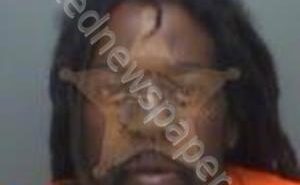 BAILEY, RODNEY L | 2019-04-12 00:22:56 Pinellas County, Florida Booking