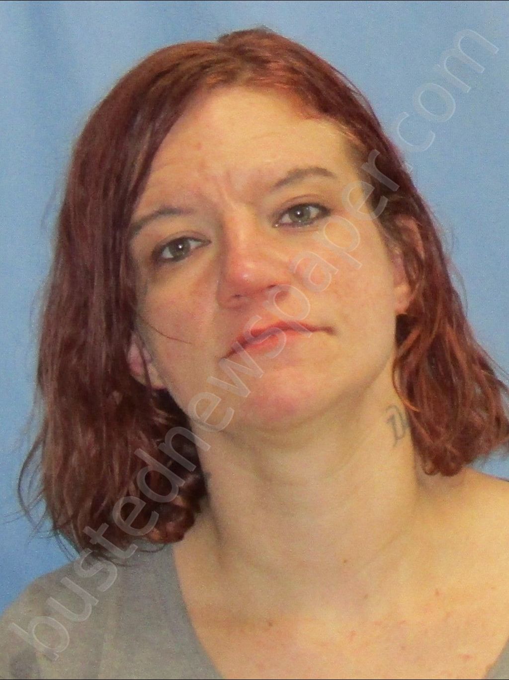 VEASEY,LINDA FAYE #, Pulaski County, Arkansas - 2019-04-12 16:38:00