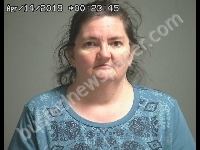 REICHERT TAMMY LYNN | 2019-04-13 Sandusky County, Ohio Booking