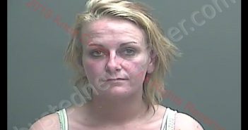 NATASHA RENE MCGREGOR | 2019-04-13 06:05:00 Knox County, Indiana Booking