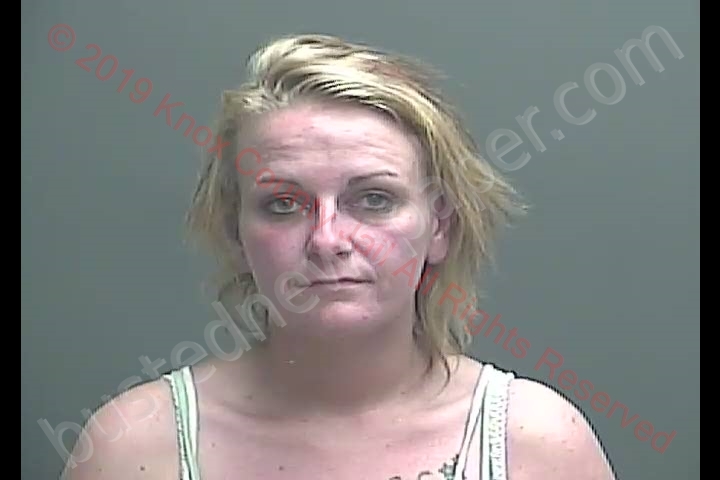 NATASHA RENE MCGREGOR #, Knox County, Indiana - 2019-04-13 06:05:00