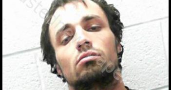 PETERS, DYLAN LEWIS | 2019-04-13 19:00:00 Taylor County, West Virginia Booking