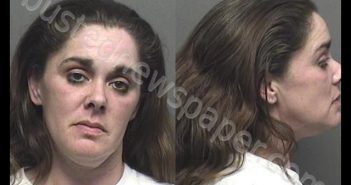 WALLICK,TAMMY MARIE | 2019-04-14 17:07:00 Saline County, Kansas Booking