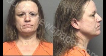PETERSON,MICHELLE LYNN | 2019-04-15 13:06:00 Saline County, Kansas Booking