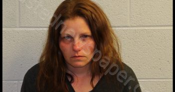 CARPER, DEE DEE MARIE | 2019-04-15 13:10:00 Jackson County, North Carolina Booking