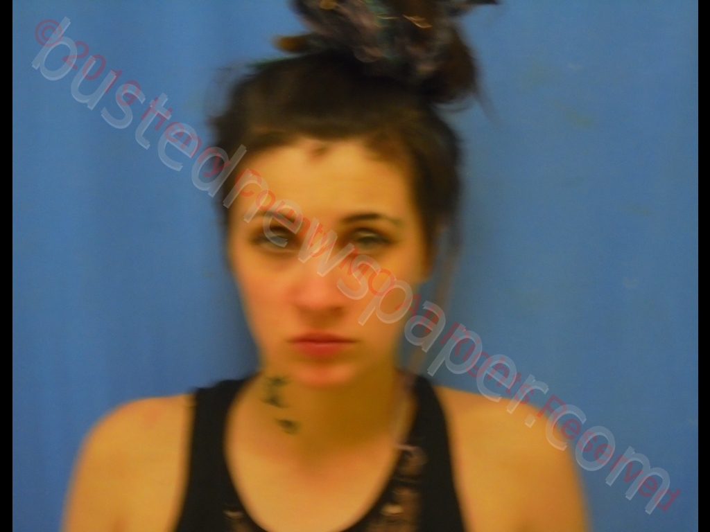 SABRINA CHRISTINE MARTINEZ #, Henry County, Missouri - 2019-04-15 14:58:00