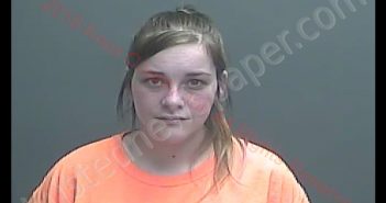 SARAH BROOKE OWENS | 2019-04-16 14:53:00 Knox County, Indiana Booking