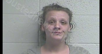 TIFFANY TEMPLIN | 2019-04-16 22:00:00 Jessamine County, Kentucky Booking