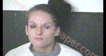 CHASITY A HORTON | 2019-04-16 00:12:00 Hart County, Kentucky Booking