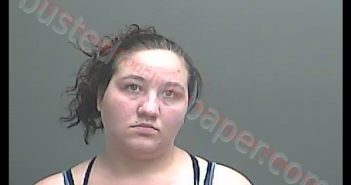 TOSHA MCNEELY | 2019-04-16 19:07:00 Knox County, Indiana Booking