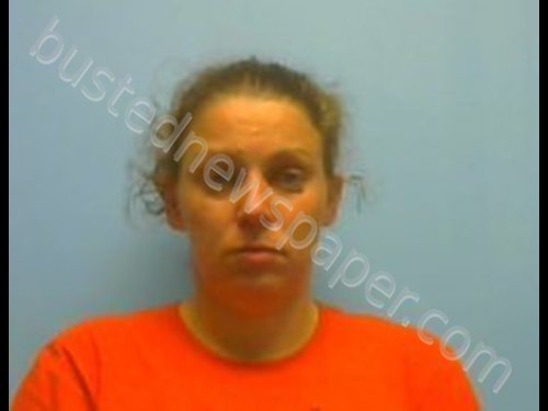 JESSICA MICHELE WATSON #, Johnson County, Arkansas - 2019-04-16 11:23:00