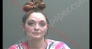 ASHLEY BROOKE EWER | 2019-04-16 19:47:00 Knox County, Indiana Booking