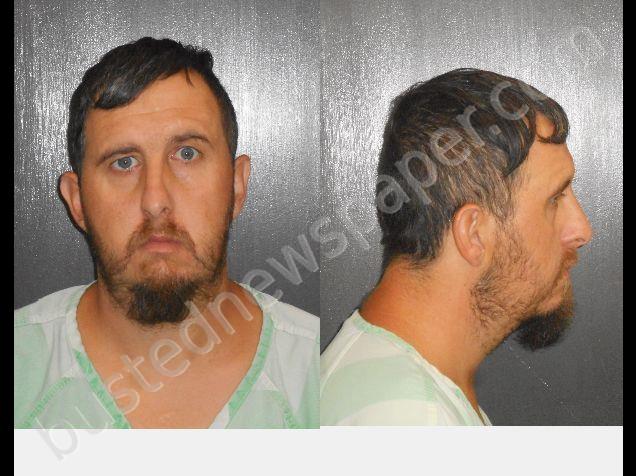 DOMKE, RICHARD LEE JUNIOR #, Madison County, Indiana - 2019-04-17 17:15:00