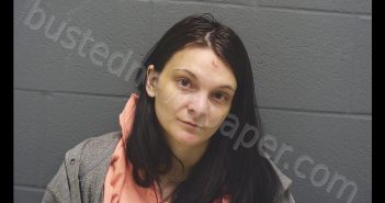 TENA CHEYENNE WOOD | 2019-04-17 02:20:00 Montgomery County, Indiana Booking