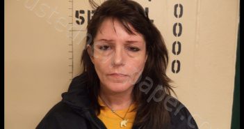SHEILA STEPHENSON | 2019-04-18 09:02:00 Howard County, Missouri Booking
