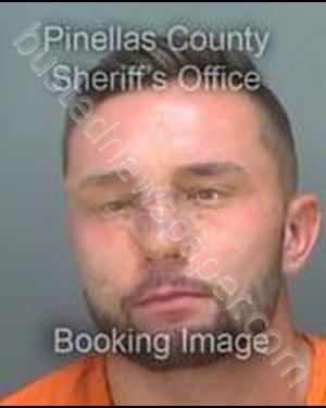 SOLTYS, DANIEL #, Pinellas County, Florida - 2019-04-18 14:35:42