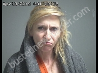 HAYES JENNIFER D | 2019-04-18 Sandusky County, Ohio Booking