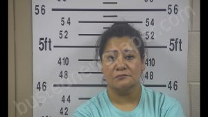 RAVINA RUTH LOPEZ | 2019-04-18 19:02:00 Kleberg County, Texas Booking