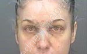 FOLEY, <B>MICHELLE</B> <B>GONZALES</B> #, Pinellas County, Florida - 2019-04-18 10:43:16