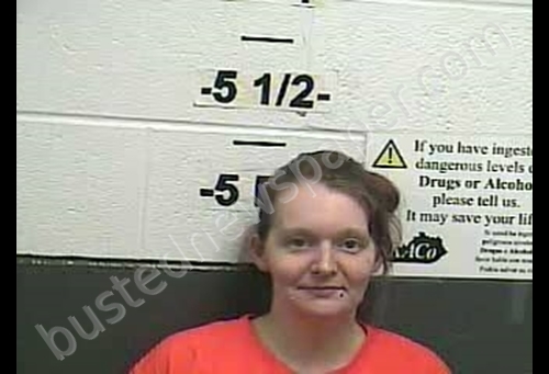 APRIL LEANN BURNETTE #, Whitley County, Kentucky - 2019-04-18 16:11:00