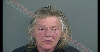 CHERI ANN CHAPMAN | 2019-04-18 16:40:00 Anderson County, South Carolina Booking