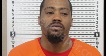 LIONEL LAMONT GREER | 2019-04-19 16:13:00 Scott County, Missouri Booking