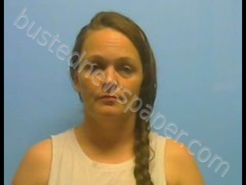 TINA RONNIE SHA WIEGEL #, Johnson County, Arkansas - 2019-04-20 16:50:00