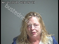 CAMPBELL MACHELLE L | 2019-04-21 Sandusky County, Ohio Booking