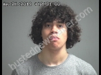 TORRES DOMINIC | 2019-04-21 Sandusky County, Ohio Booking
