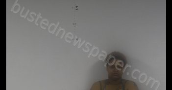 TYONNA RENEE SEARS | 2019-04-22 20:51:00 Western Tidewater, Virginia Booking