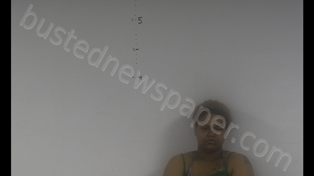 TYONNA RENEE SEARS #, Western Tidewater, Virginia - 2019-04-22 20:51:00