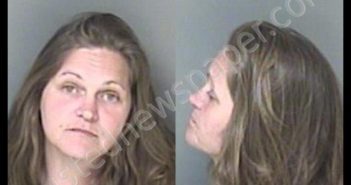 WEAVER, MELISSA DAWN | 2019-04-23 02:29:00 Gaston County, North Carolina Booking
