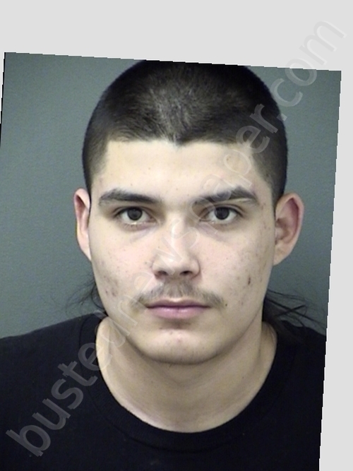 HERRERA,MICHAEL JESUS #, Cooke County, Texas - 2019-04-23