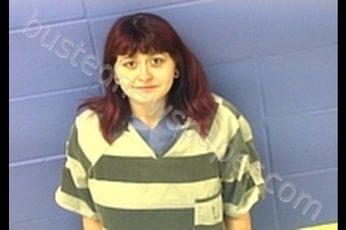 KATIE ELIZABETH TOLLIVER #, Faulkner County, Arkansas - 2019-04-24 20:24:00