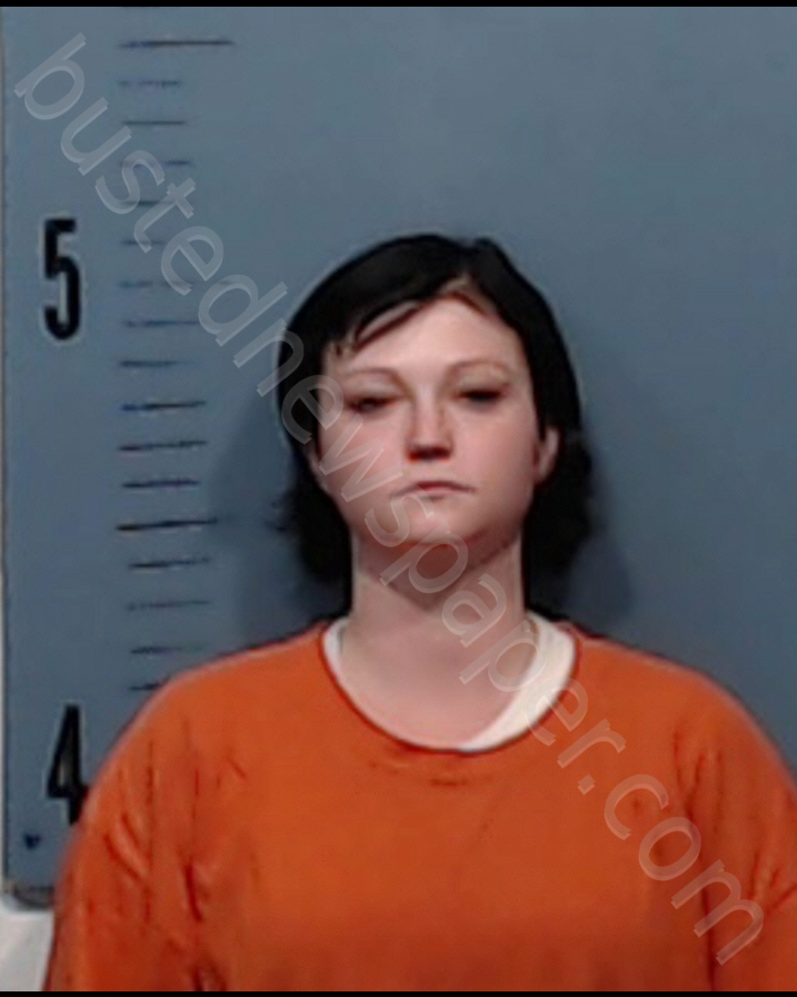 MEEHEAN, ASHLEY NICOLE #, Taylor County, Texas - 2019-04-24