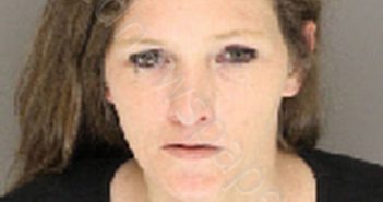 SHOEMAKER, CYNTHIA MICHELLE | 2019-04-24 12:59:00 Moore County, North Carolina Booking